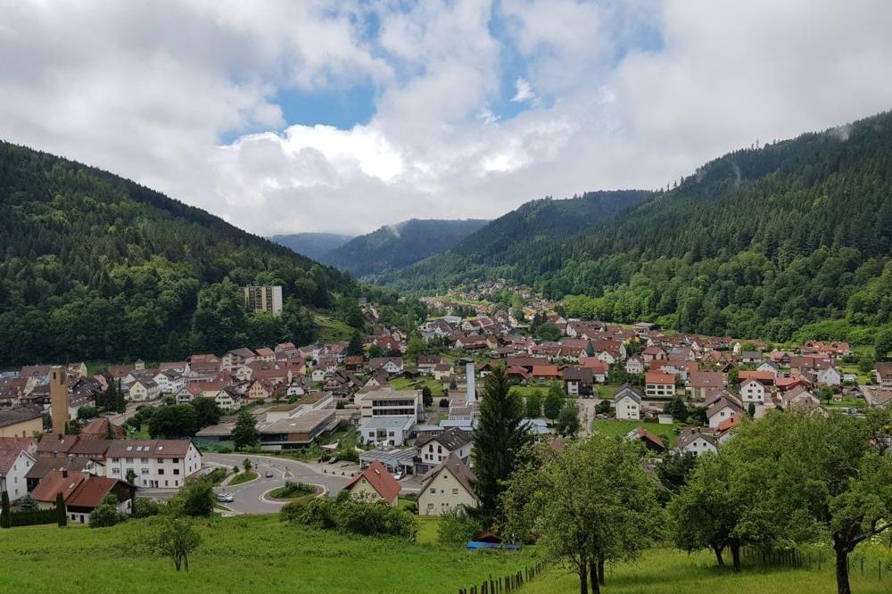 Blick auf Luftkurort Calmbach