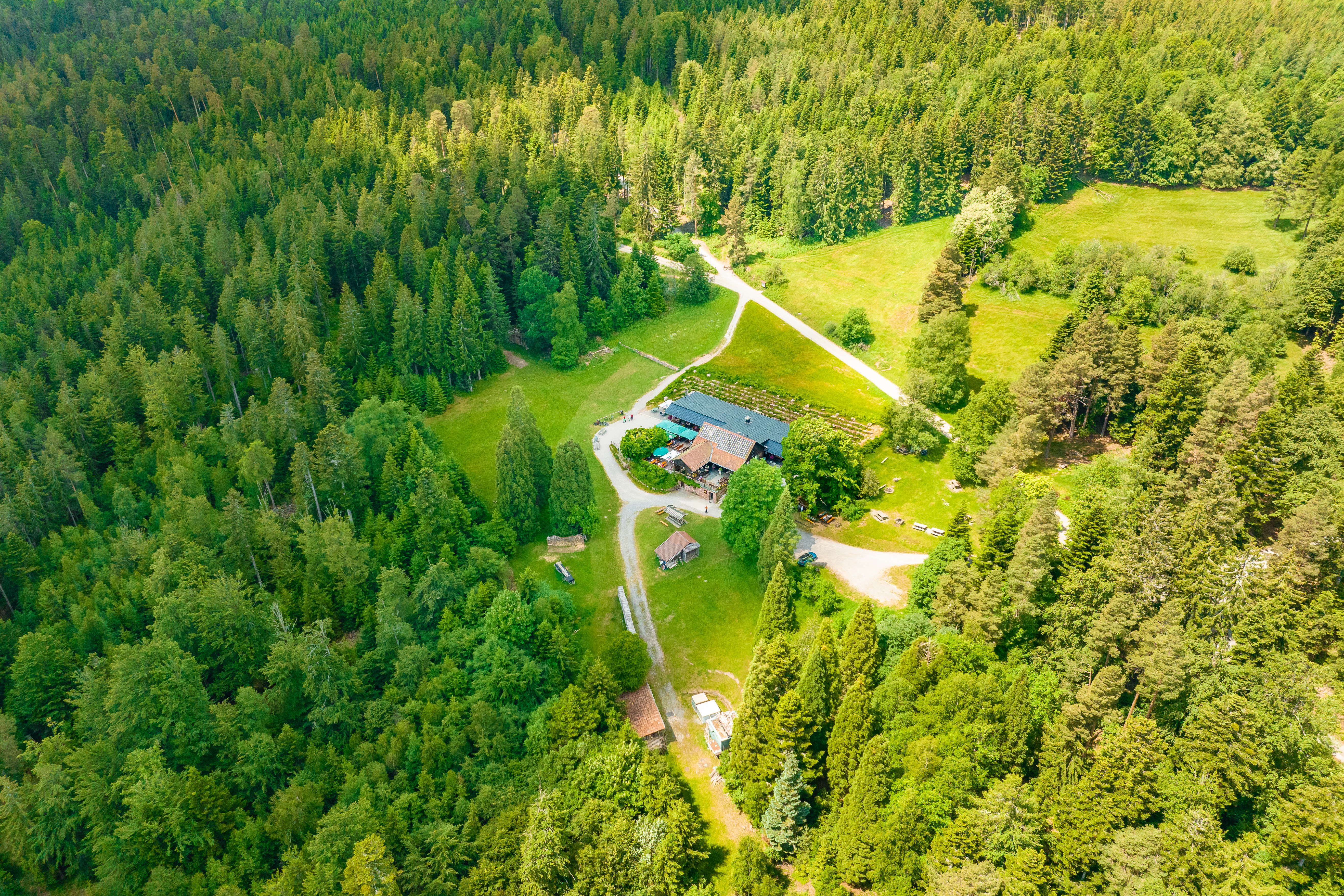 Waldgaststätte Grünhütte Vogelperspektive