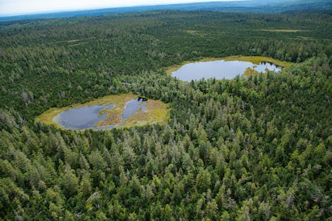 Wildsee Lake Upland Moor Area