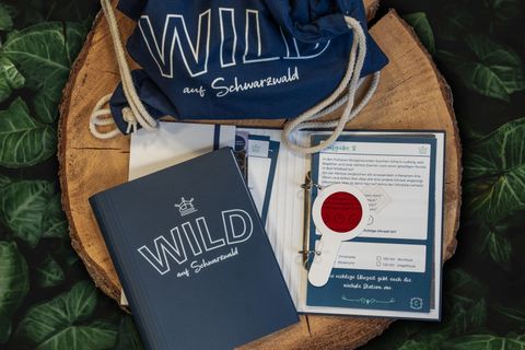 Outdoorgame Bad Wildbad