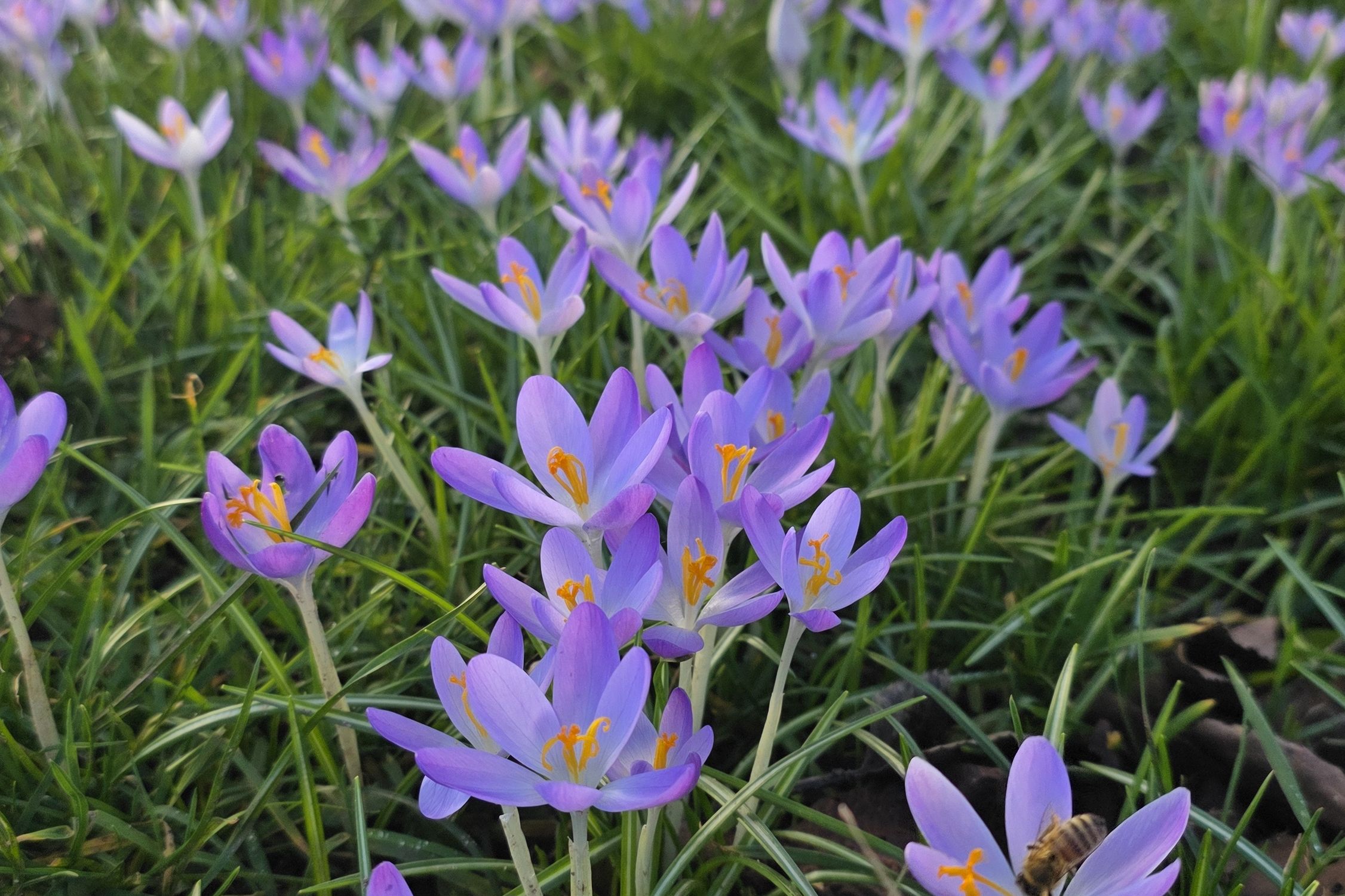 Foto des Monats Februar