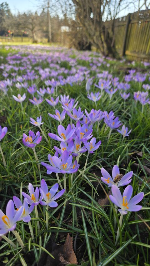 Foto des Monats Februar