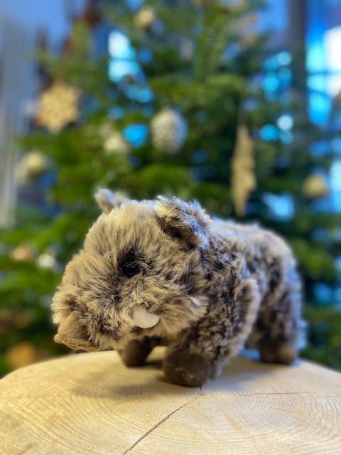 Wildschwein
