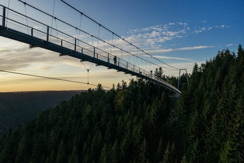 WILDLINE