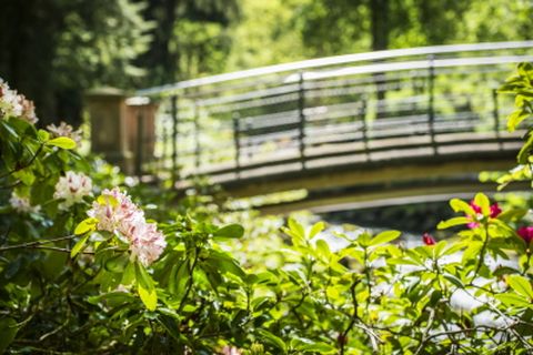 Kurpark_Bad Wildbad im Schwarzwald