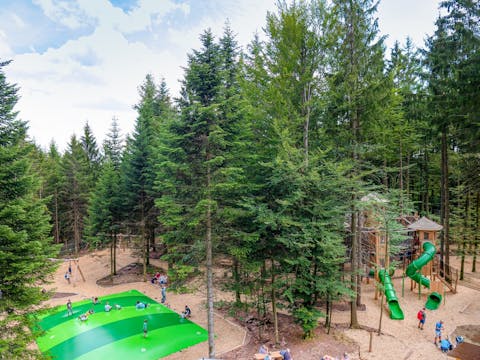 Adventure Forest Bad Wildbad