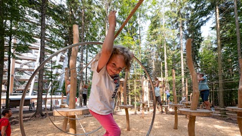 Adventure Forest