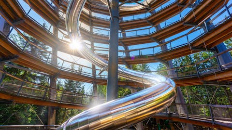 Slide at the treetop walk