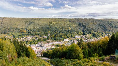 Blick auf Bad Wildbad