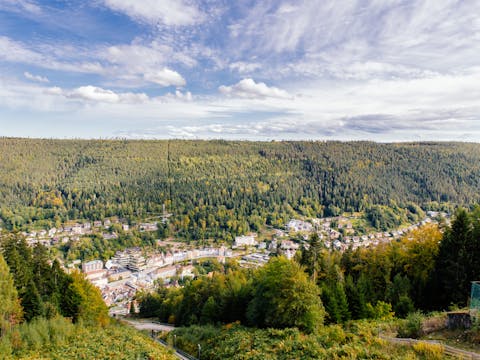 Blick auf Bad Wildbad