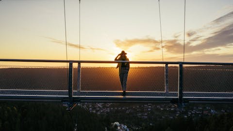 WILDLINE Suspension Bridge