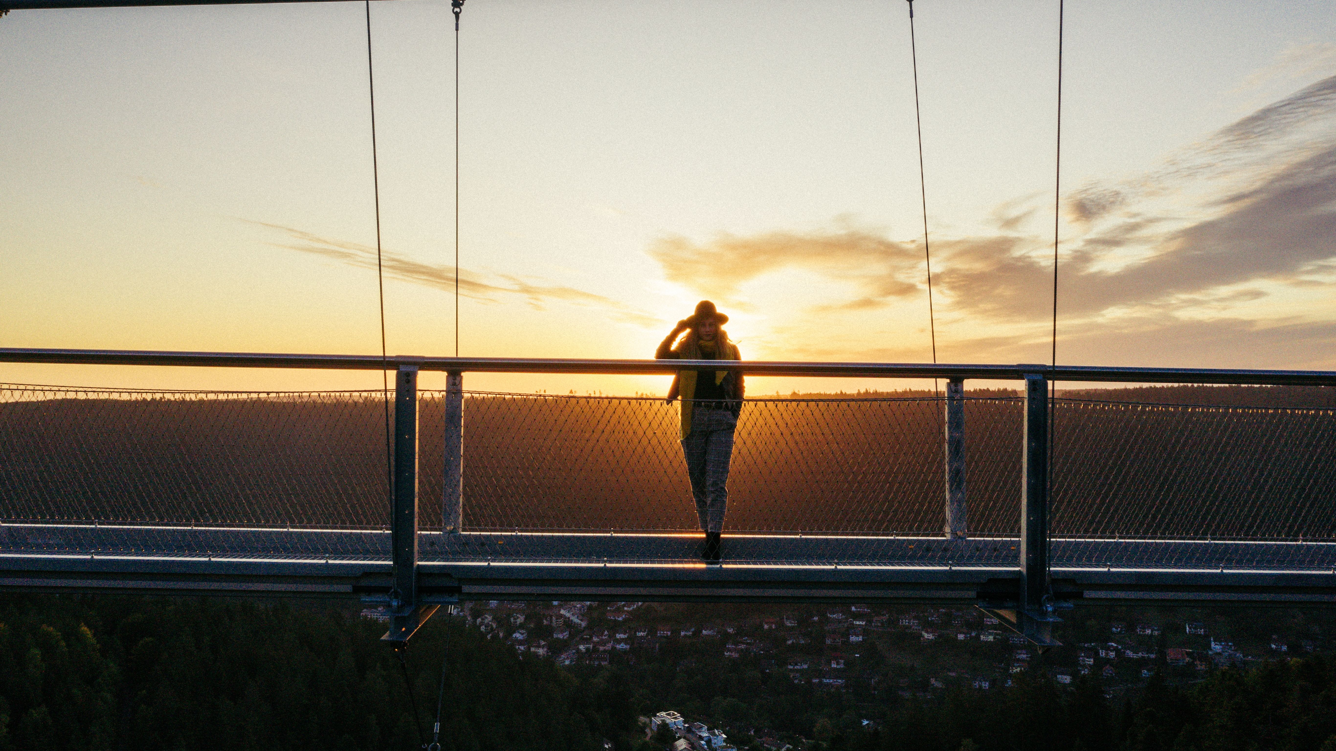 Hängebrücke WILDLINE