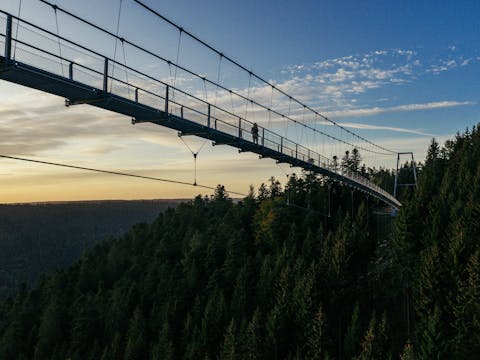 WILDLINE Suspension Bridge
