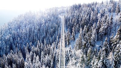 WILDLINE auf dem Sommerberg Bad Wildbad