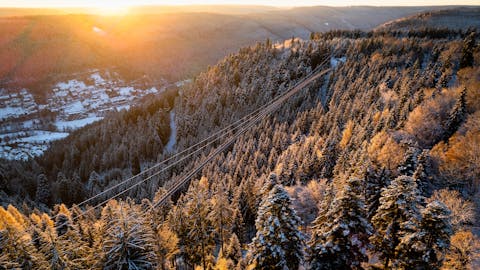 Winter WILDLINE