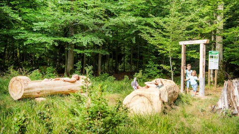 Waldbadezimmer Sommerberg
