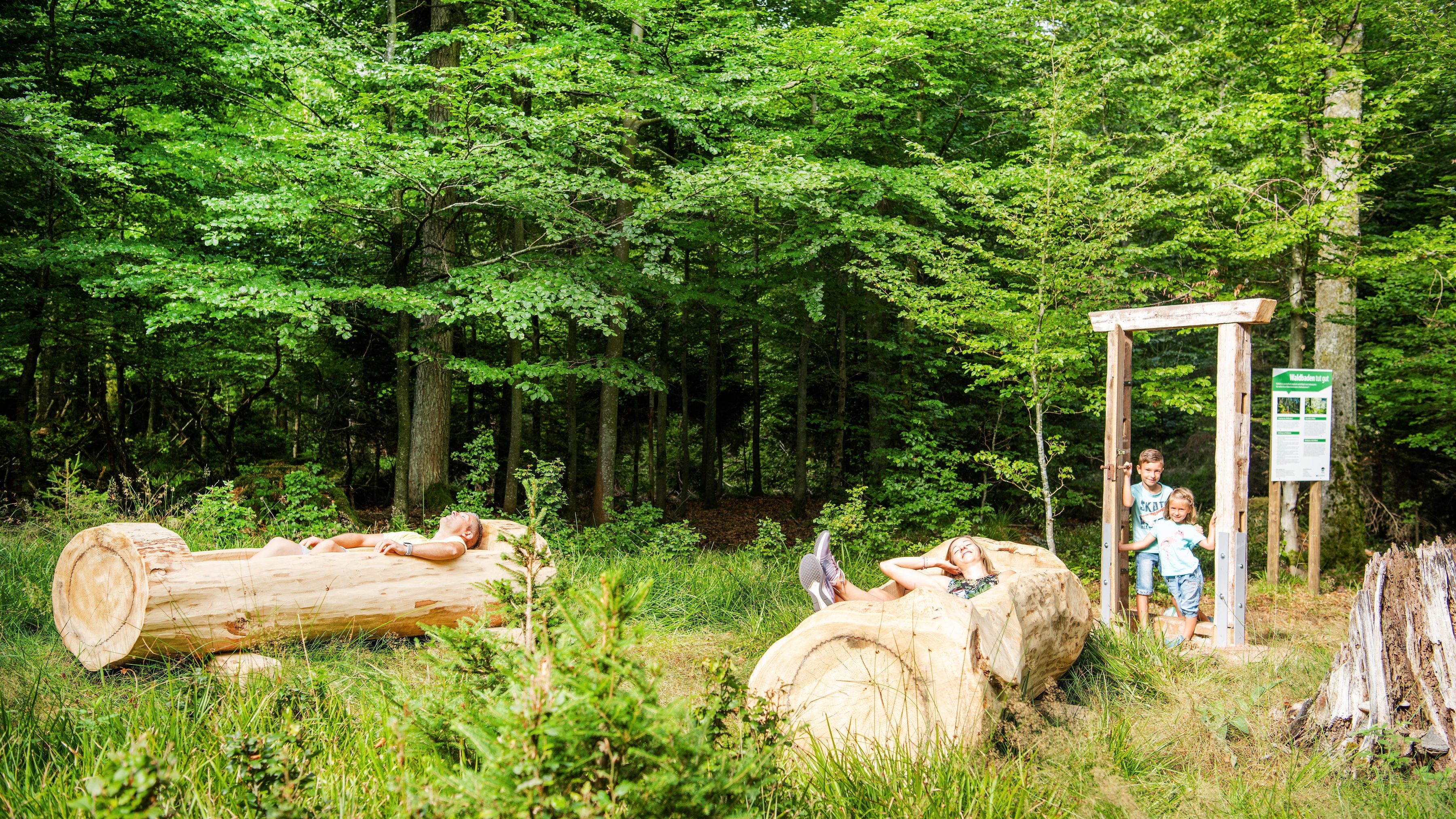 Waldbadezimmer Sommerberg