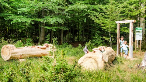 Waldbadezimmer Sommerberg
