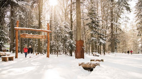 Winterwandern