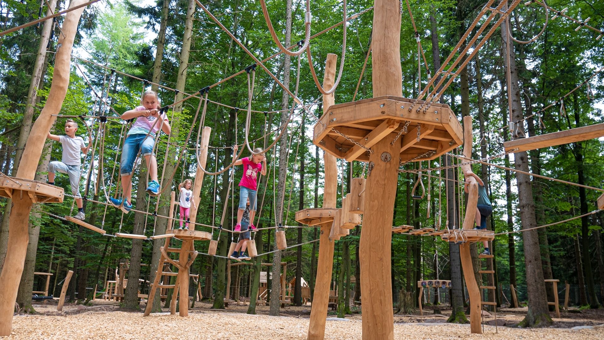 Abenteuerwald Bad Wildbad