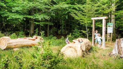 Waldbadezimmer auf dem Sommerberg