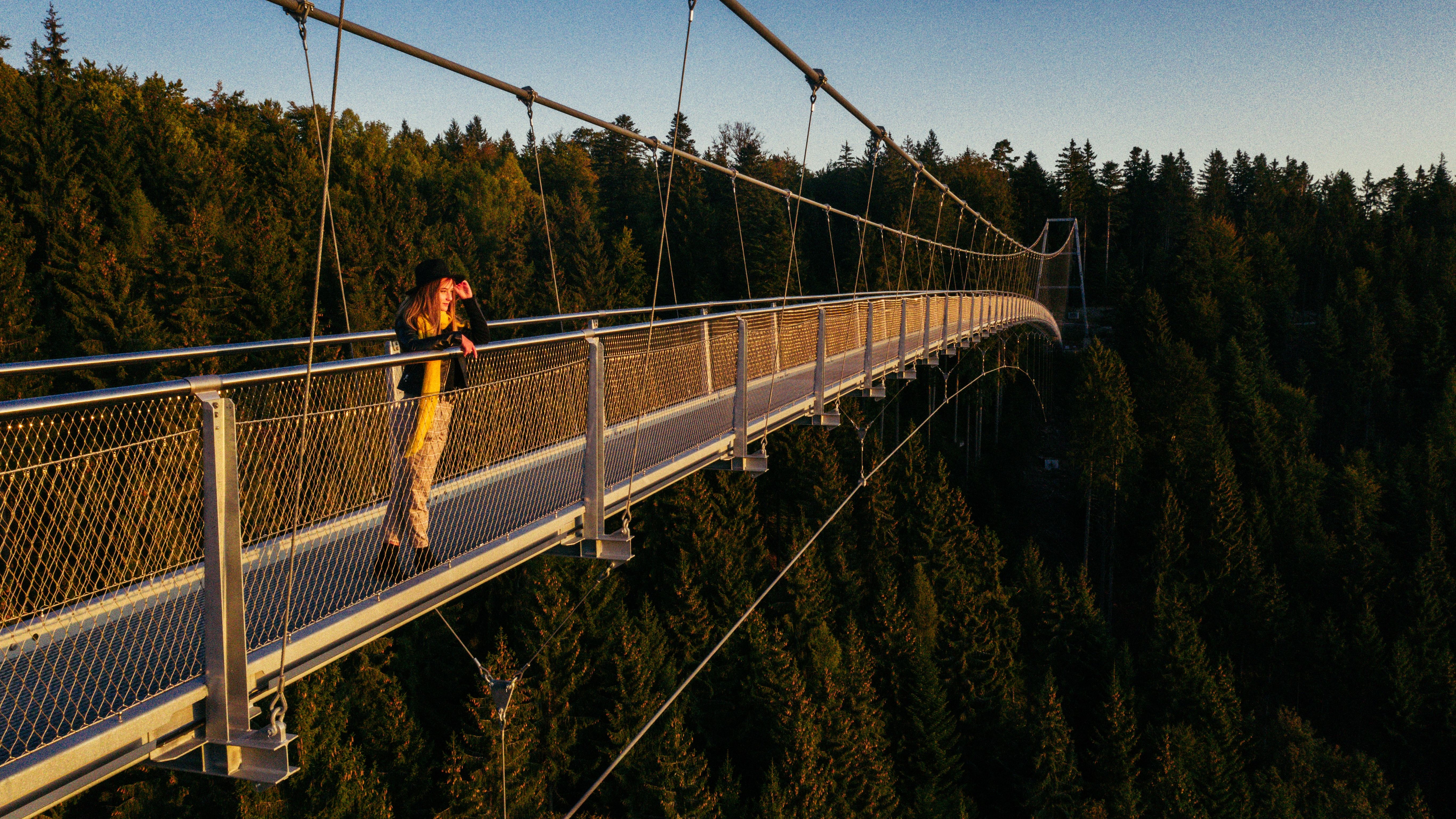 Hängebrücke WILDLINE
