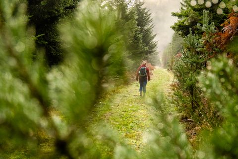 After Work Wandern