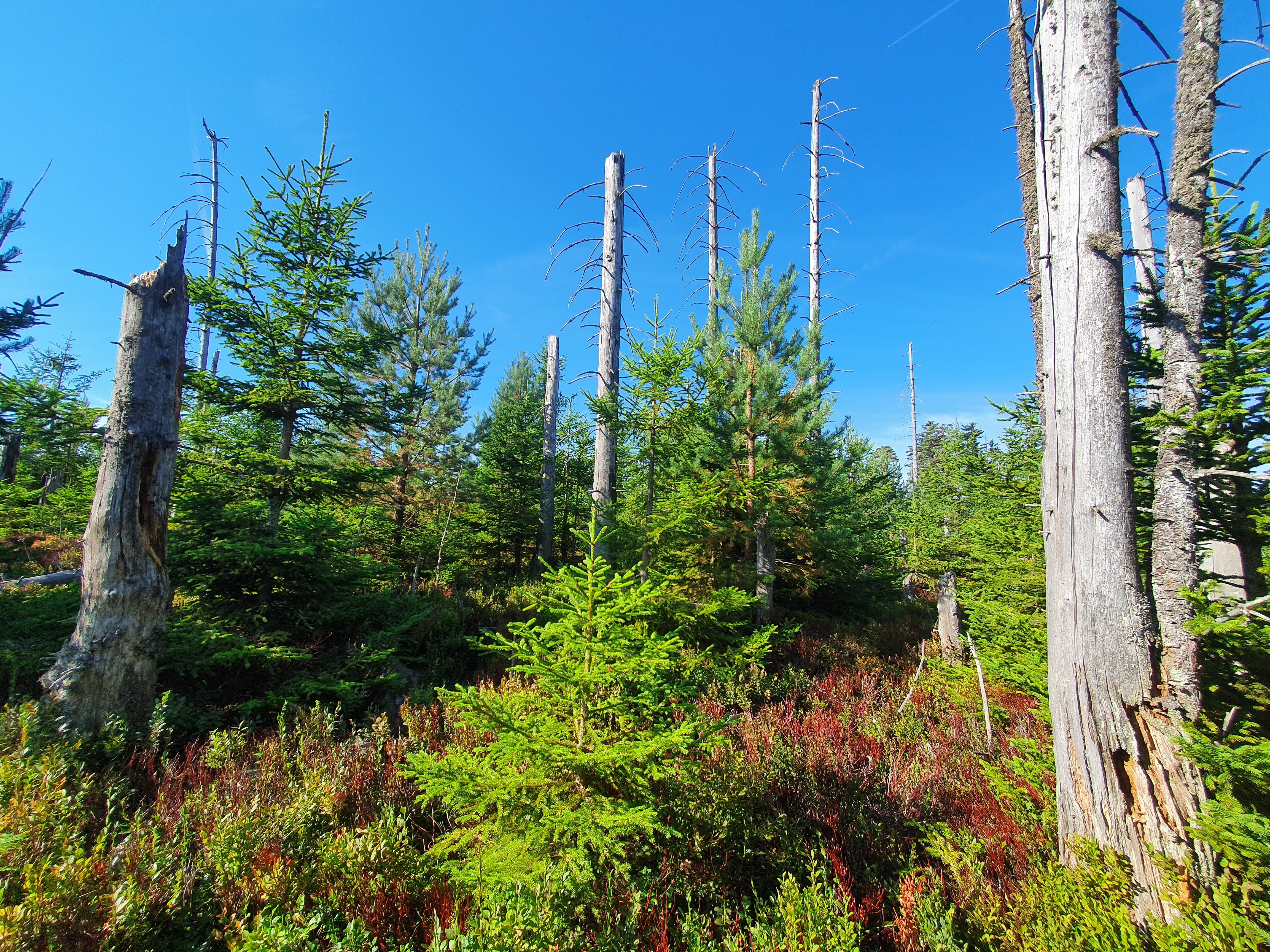 Die große Bannwald Tour