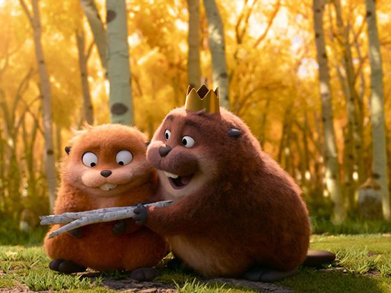 Kiwi Kino