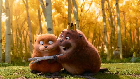 Kiwi Kino