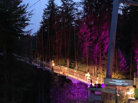Rossini in Wildbad