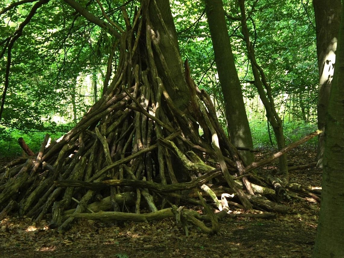 Lernen wo Natur erlebbar wird