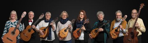 Mandolinenorchester Bad Wildbad