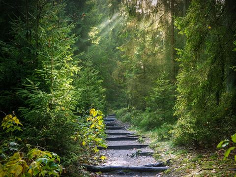 Weg in die Entspannung