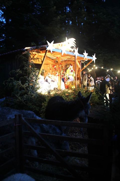 Waldweihnacht in Aichelberg