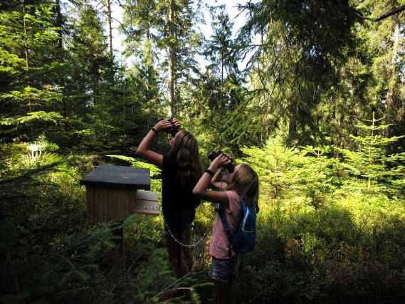 Wildniswoche Kinder