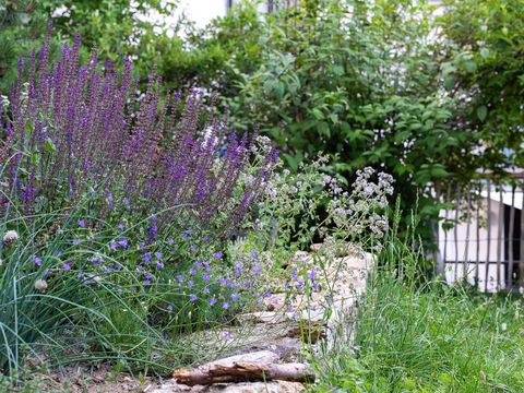 Das Foto zeigt einen Garten mit naturnaher Gestaltung.
