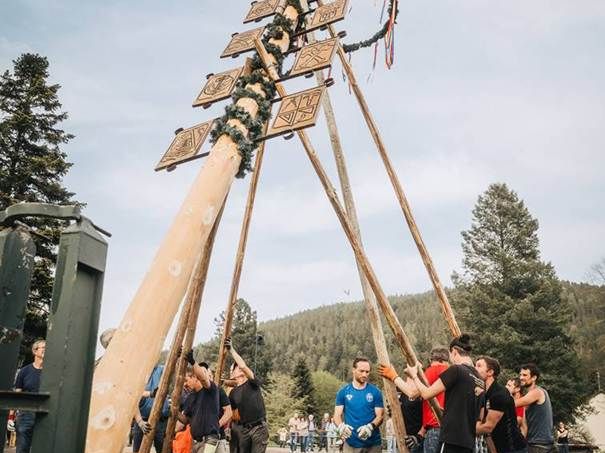 Maibaumstellen im Heidelbeerdorf Enzklösterle