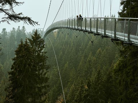 WILDLINE Hängebrücke