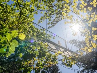 Hängebrücke Wildline